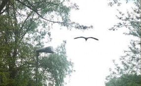 Il cuore batte forte