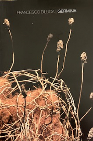 Francesco Diluca. Germina