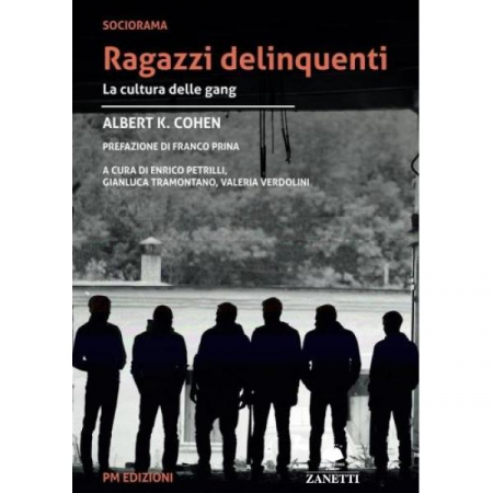 Ragazzi delinquenti