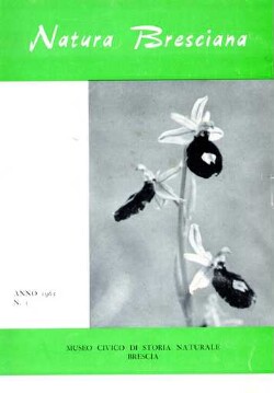 Brixiana (schedadl.aspx?id=f2e68558-20c8-45c3-95c7-d0aeafd695a8)