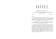 Mesolithic miscellany