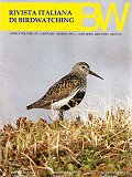 Rivista italiana di birdwatching