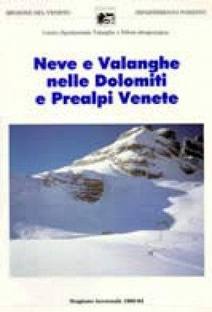 Neve e valanghe nelle Dolomiti e Prealpi venete