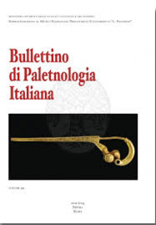 Bullettino di paletnologia italiana