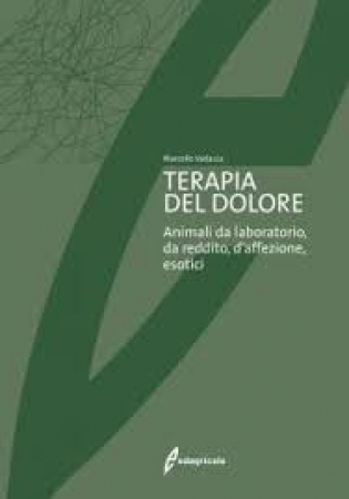 Terapia del dolore