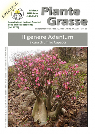 Piante grasse speciale