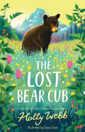 The lost bear club