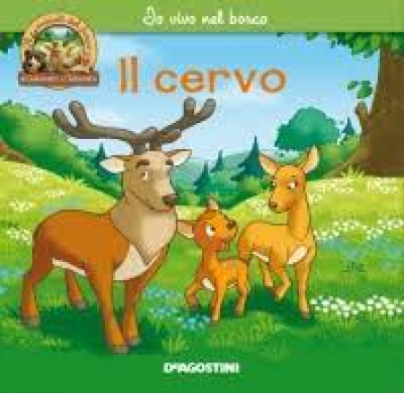 Il cervo