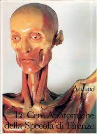 Le cere anatomiche della Specola
