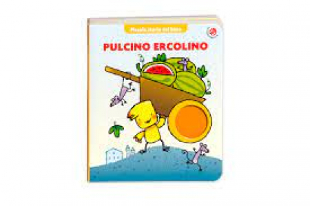 Pulcino Ercolino