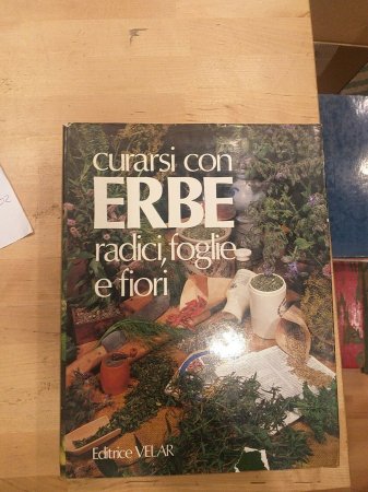 Curarsi con erbe, radici, foglie e fiori / Emanuela Borio. Vol. 2