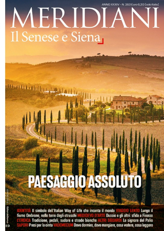 Il senese e Siena