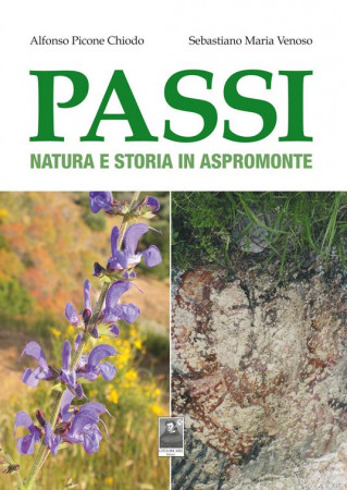 Passi