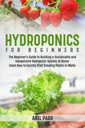 Hydroponics for beginners