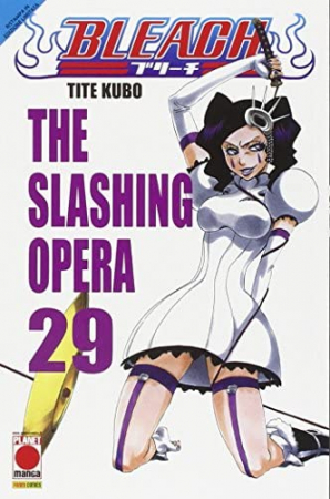 Bleach / Tite Kubo. Vol. 29