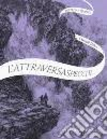 L'attraversaspecchi. Dietro le quinte