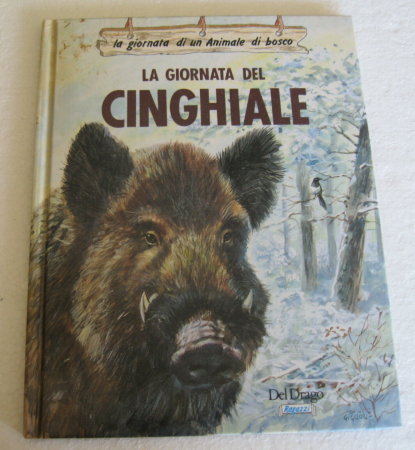 La giornata del cinghiale