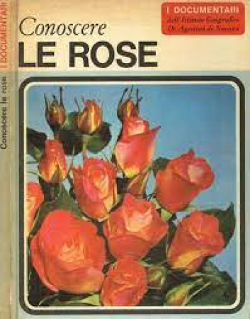 Conoscere le rose