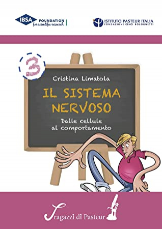 Il sistema nervoso