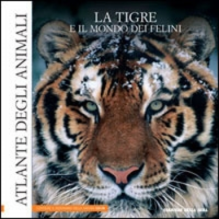 La tigre e il mondo dei felini