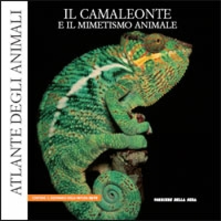 Il camaleonte e il mimetismo animale