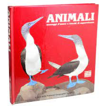 Animali