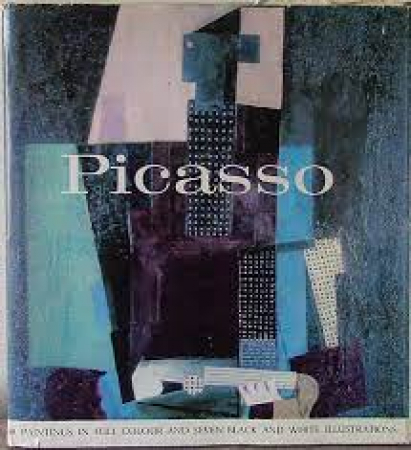 PIcasso