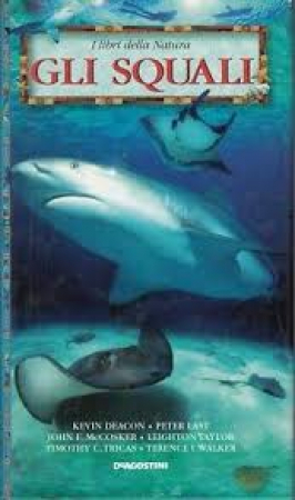 Gli squali
