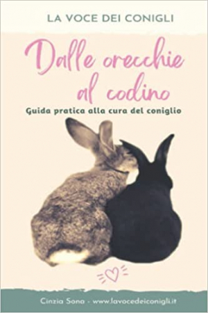 Dalle orecchie al codino