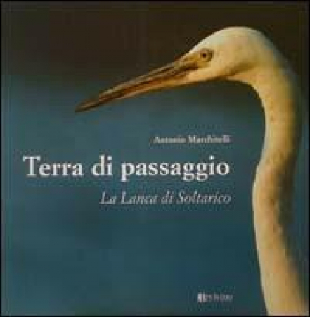 Terra di passaggio