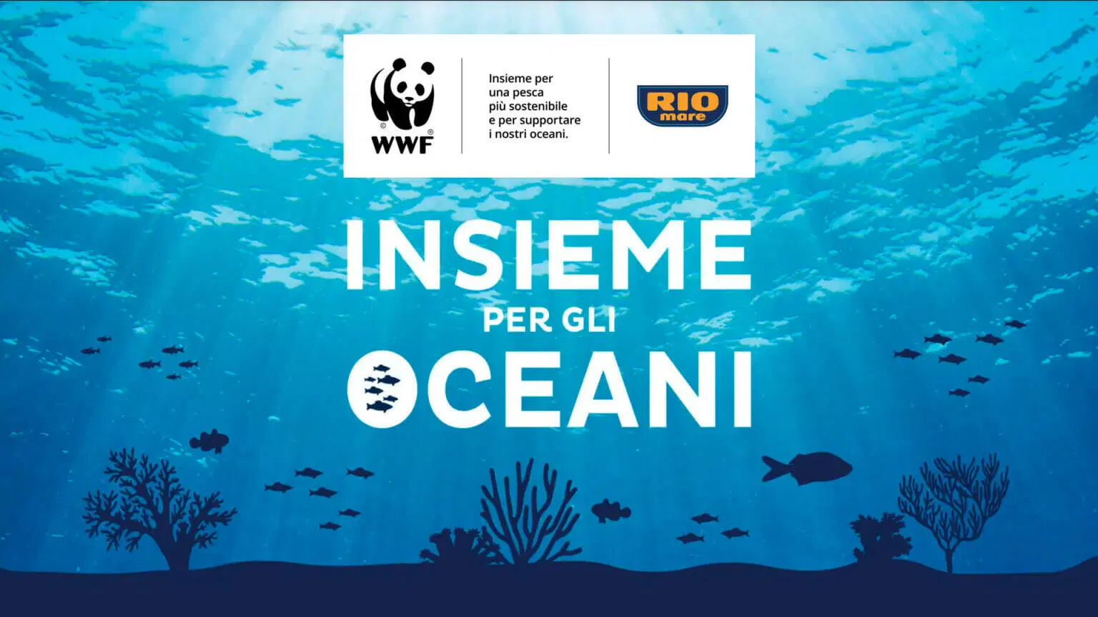 Insieme per gli oceani