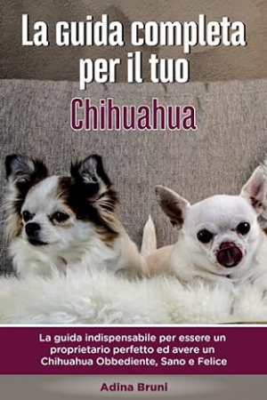 La guida completa per il tuo Chihuahua