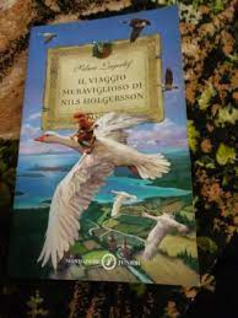 Il viaggio meraviglioso di Nils Holgersson