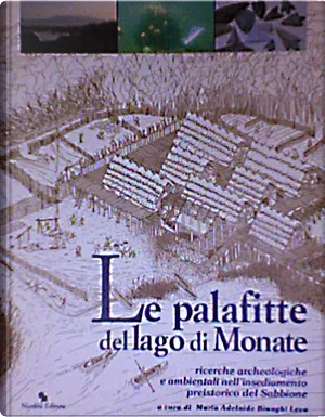 Le palafitte del Lago di Monate