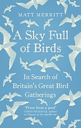 A sky full of Birds