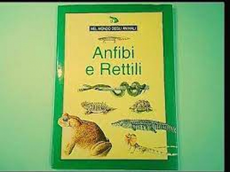 Anfibi e rettili