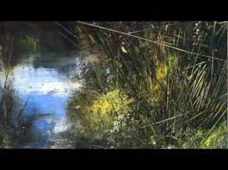 Naturalismo esistenziale